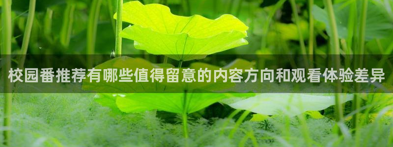 经典动画:校园番推荐有哪些值得留意的内容方向和观看体验差异