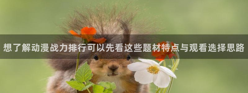 最新动漫大全:想了解动漫战力排行可以先看这些题材特点与观看选择思路