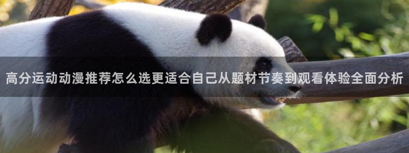 日本动漫排行:高分运动动漫推荐怎么选更适合自己从题材节奏到观看体验全面分析