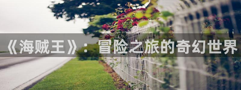 动漫排行榜:《海贼王》:冒险之旅的奇幻世界