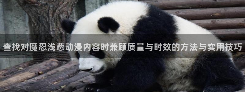 欧美动漫推荐：查找对魔忍浅葱动漫内容时兼顾质量与时效的方法与实用技巧