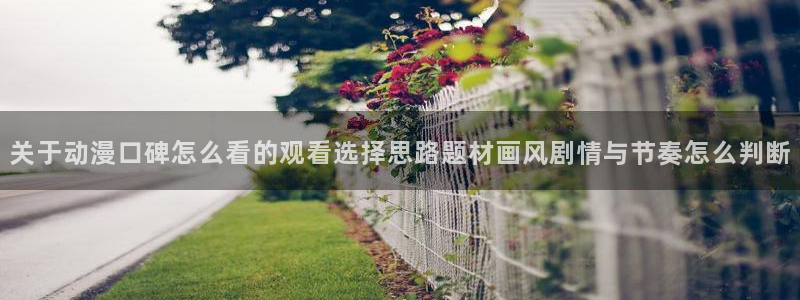动漫评分榜：关于动漫口碑怎么看的观看选择思路题材画风剧情与节奏怎么判断