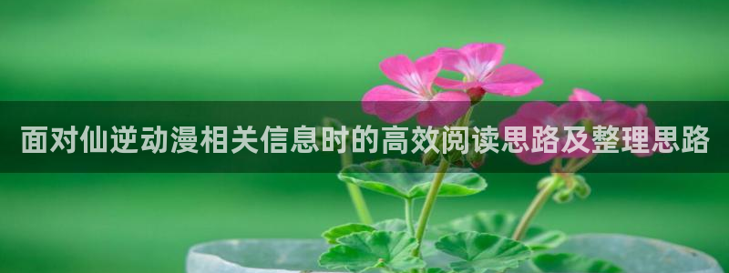 动漫作品搜索:面对仙逆动漫相关信息时的高效阅读思路及整理思路