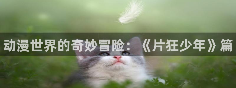 动漫网址大全:动漫世界的奇妙冒险:《片狂少年》篇