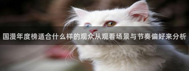 运动动漫推荐:国漫年度榜适合什么样的观众从观看场景与节奏偏好来分析