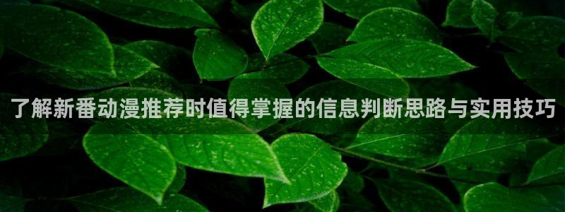 热门动漫推荐:了解新番动漫推荐时值得掌握的信息判断思路与实用技巧
