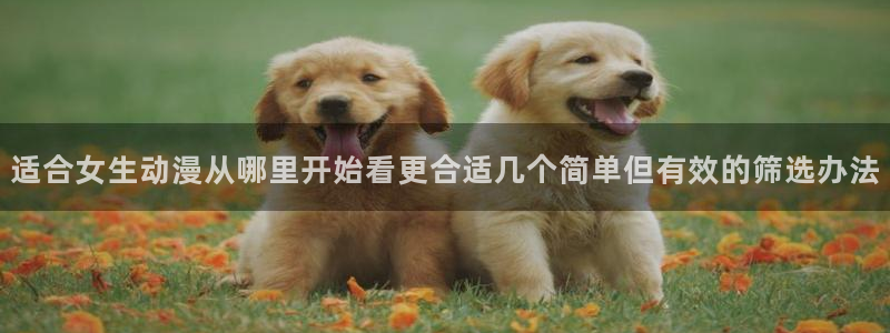 动漫网入口页面:适合女生动漫从哪里开始看更合适几个简单但有效的筛选办法