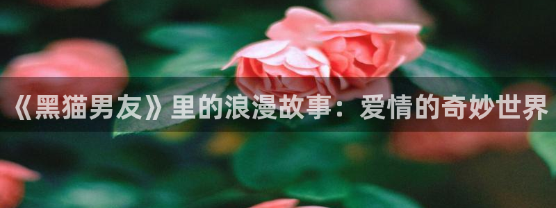 连载动画：《黑猫男友》里的浪漫故事：爱情的奇妙世界